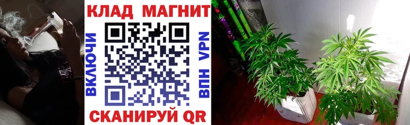 Виды наркоты Реутов Alpha-PVP АМФ Конопля МДМА ГАШ