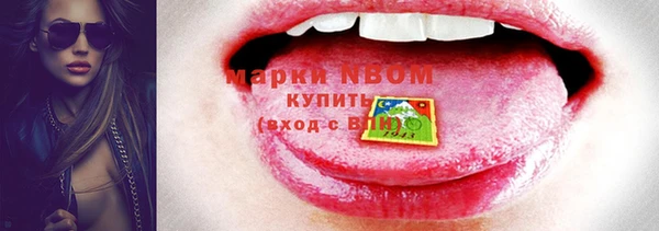 шишки Лагань