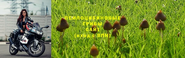 шишки Лагань